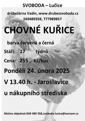 leták