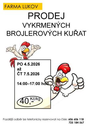 Plakát